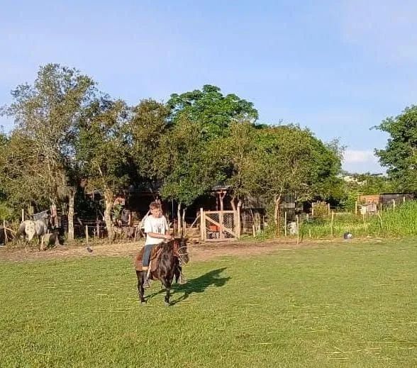 Pônei muito manso e vai até no serviso no laço tbm - Foto 4