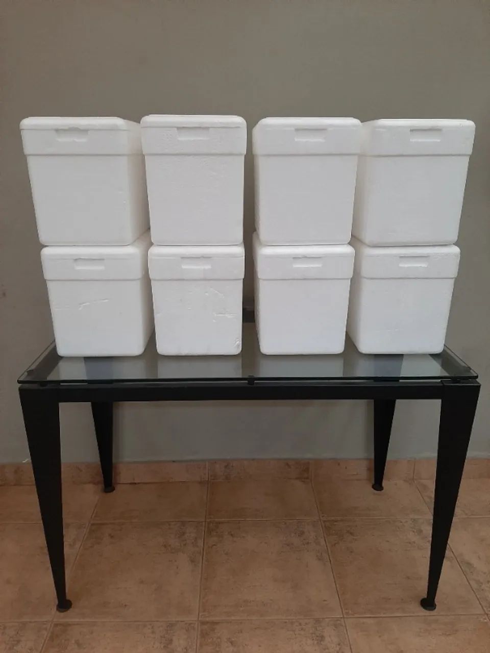 10 Caixas de ISOPOR - TUDO por R$ 30,00