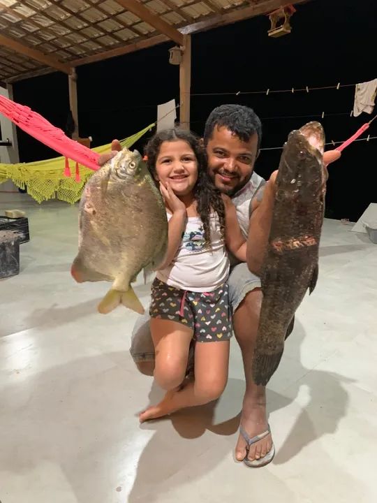 Sítio 5 mil metros  - Foto 12