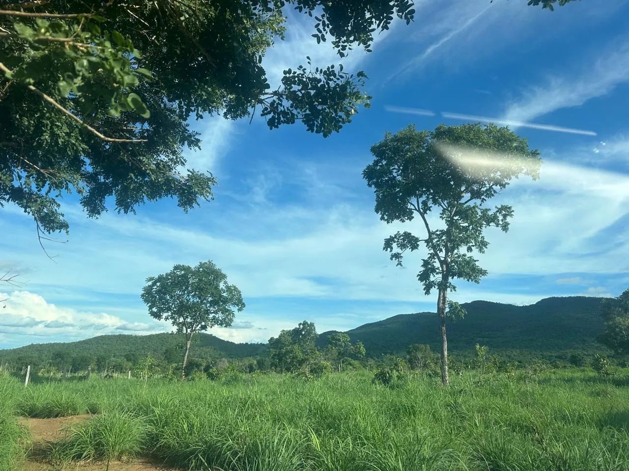 Fazenda de 58 alqueires em Faina- Go