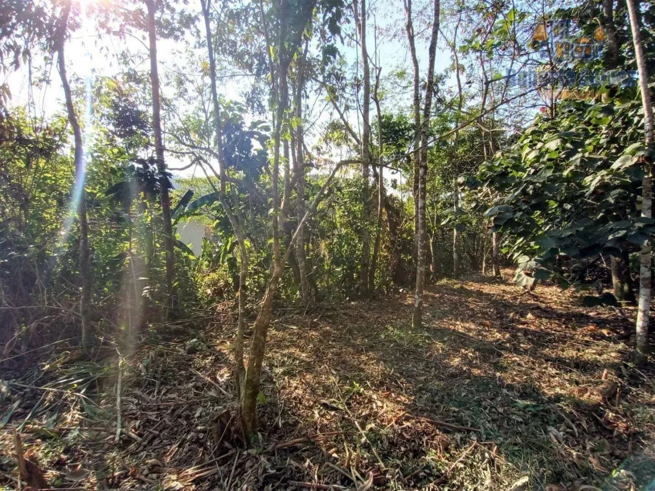 Terreno com boa topografia - Nova Friburgo/RJ - Foto 3