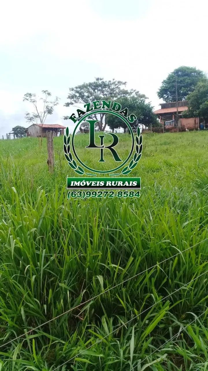 Fazenda 50 Alqueires Plana Próximo de Palmas - Foto 4