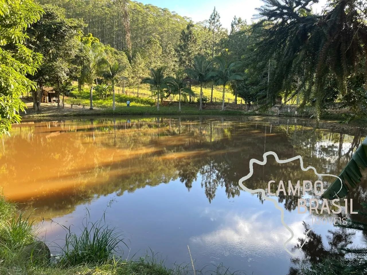 ÓTIMA CHÁCARA 5.000M² EM JAMBEIRO !