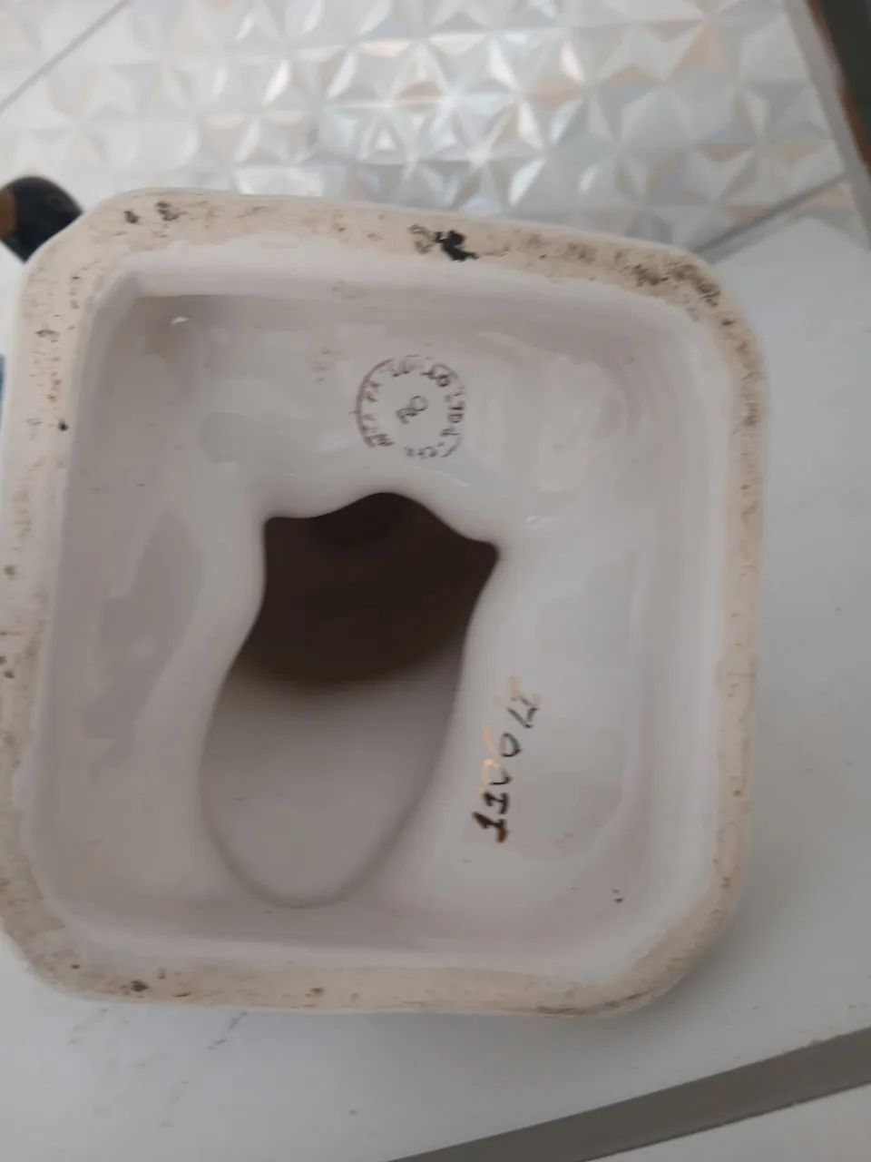 Pinguim antigo - Foto 5