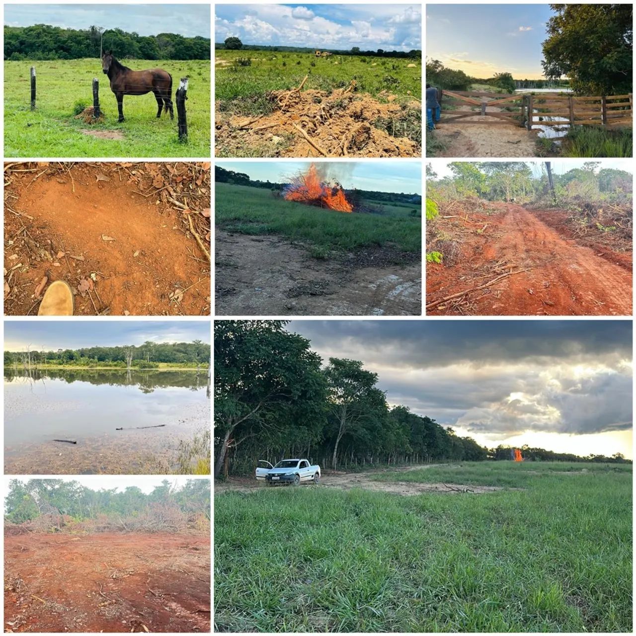 Fazenda à venda, Ótimo investimento  - Foto 3
