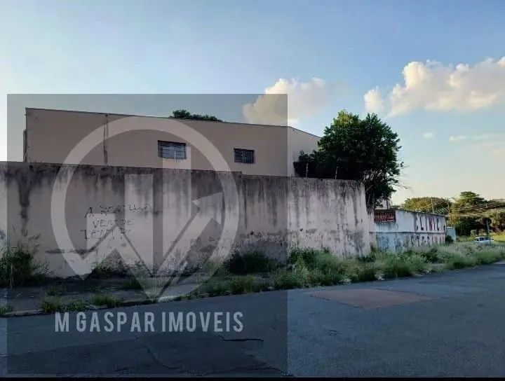 barracão - Jardim Nova Europa - Campinas - Foto 4
