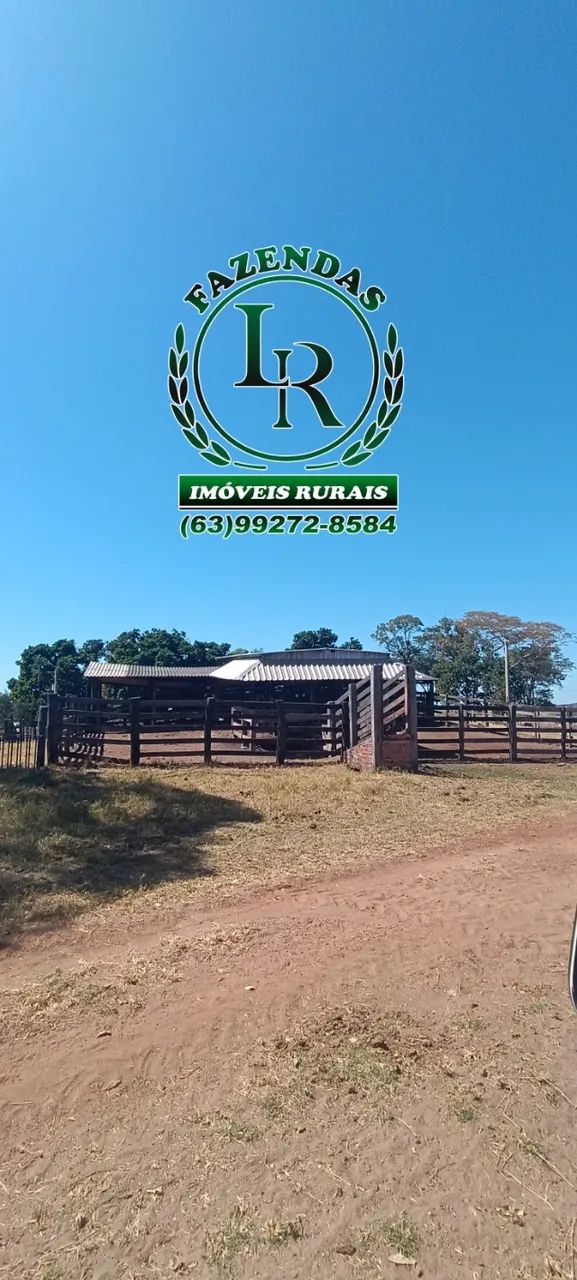 Fazenda Pecuária, Área 116 alqueires, Próximo a Palmas - Foto 2
