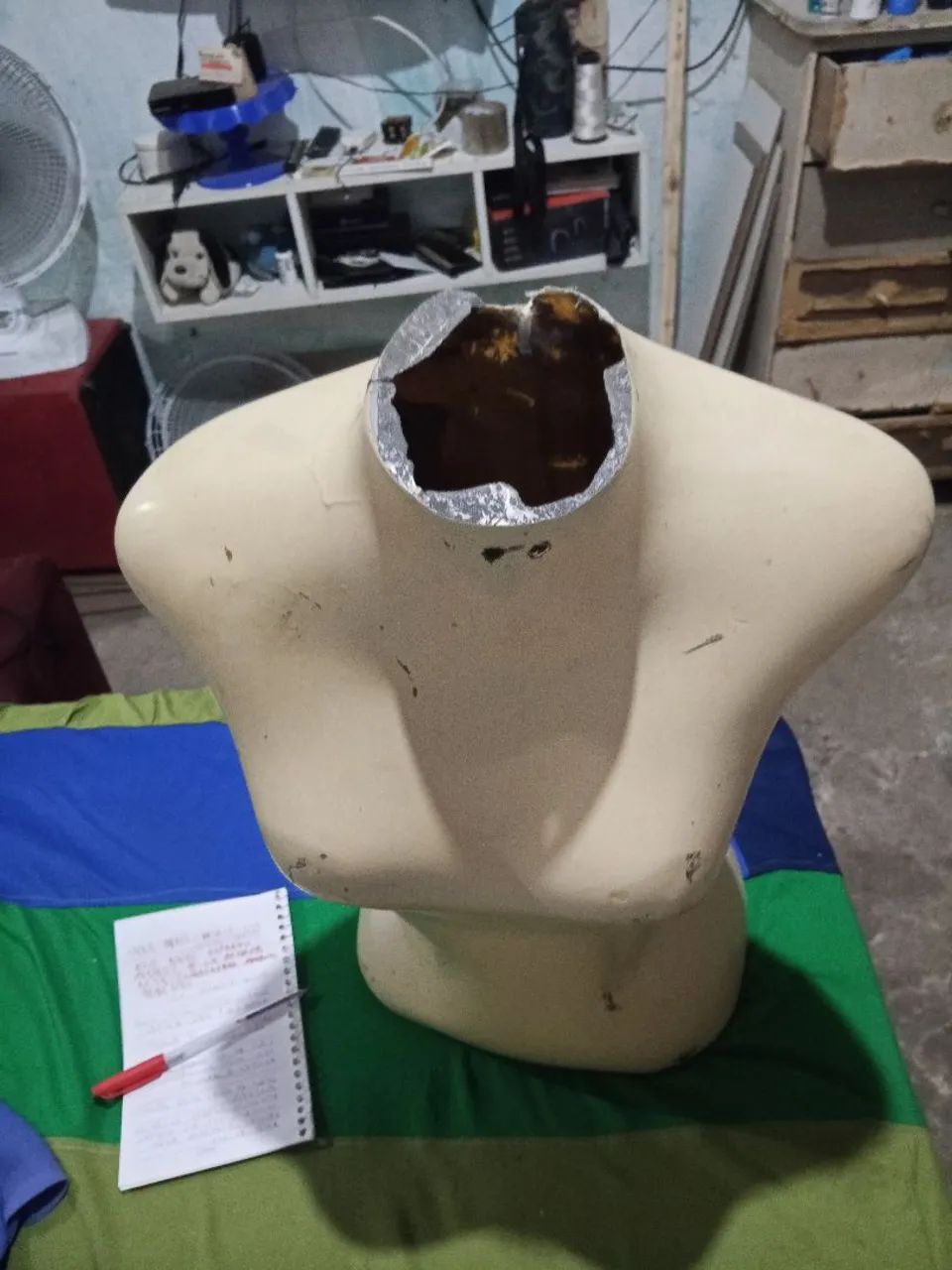 Manequim feminino  - Foto 4