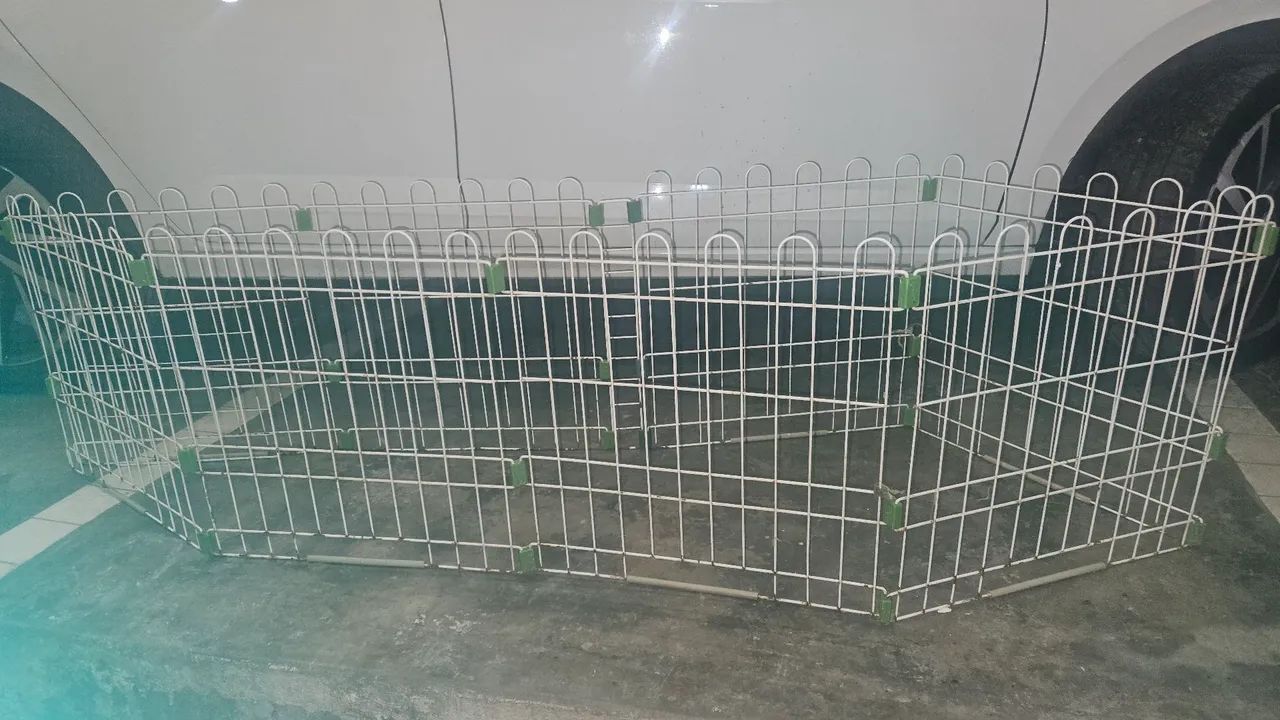 Vendo certinho pra animais