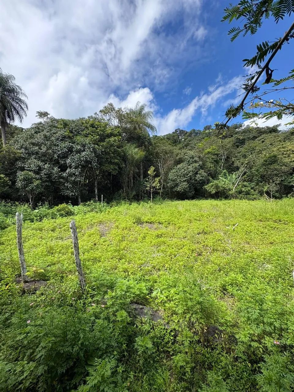 TERRENO TOTALMENTE PLANO EM GUARAMIRANGA COM 1120M² - Foto 2