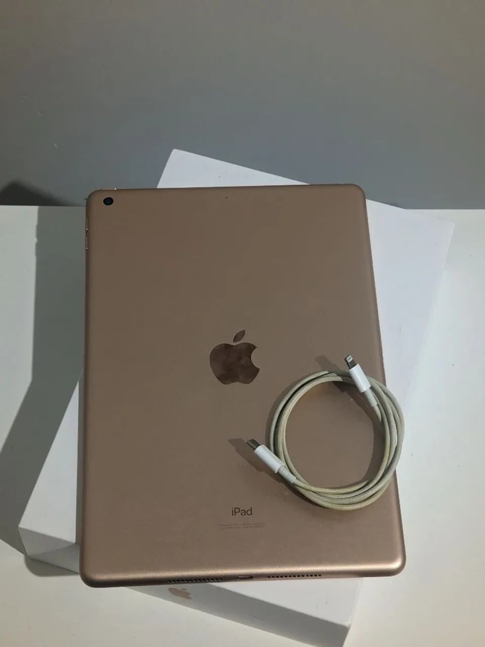iPad 8 funcionando perfeito + caixa e cabo original