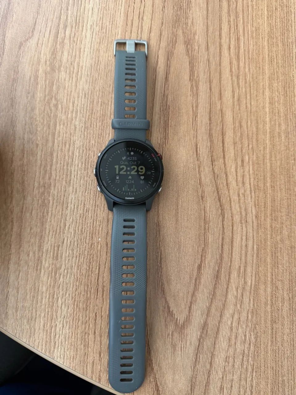 Garmin 255 