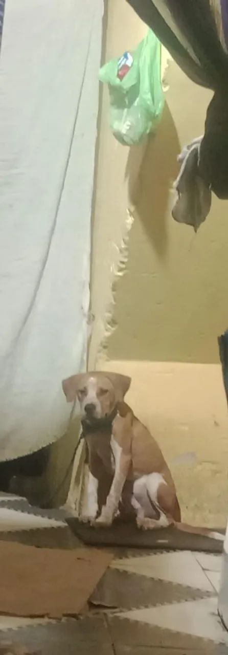 Doação 