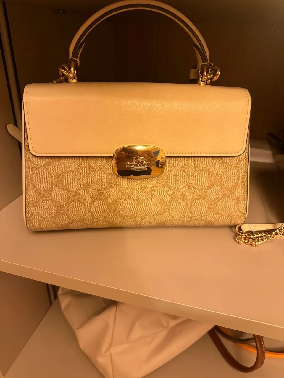 Bolsa Coach 