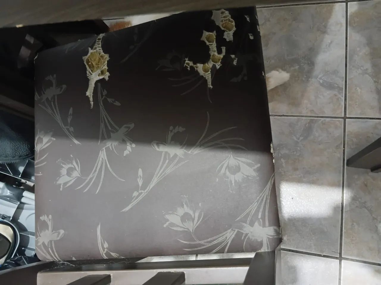 Mesa com 4 cadeiras - Foto 4