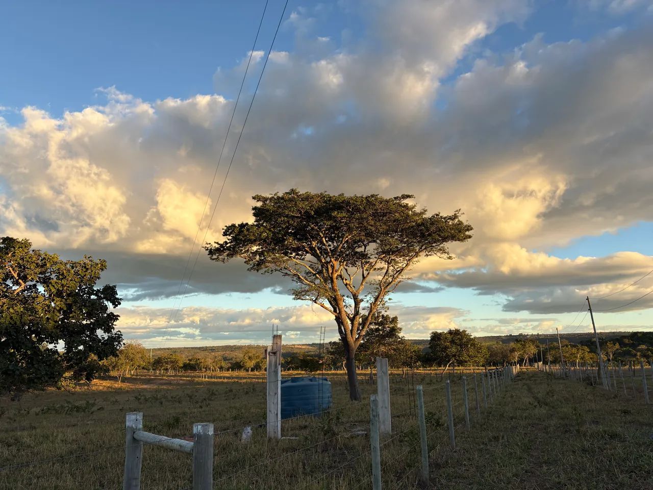 Chácara perfeita - Foto 4