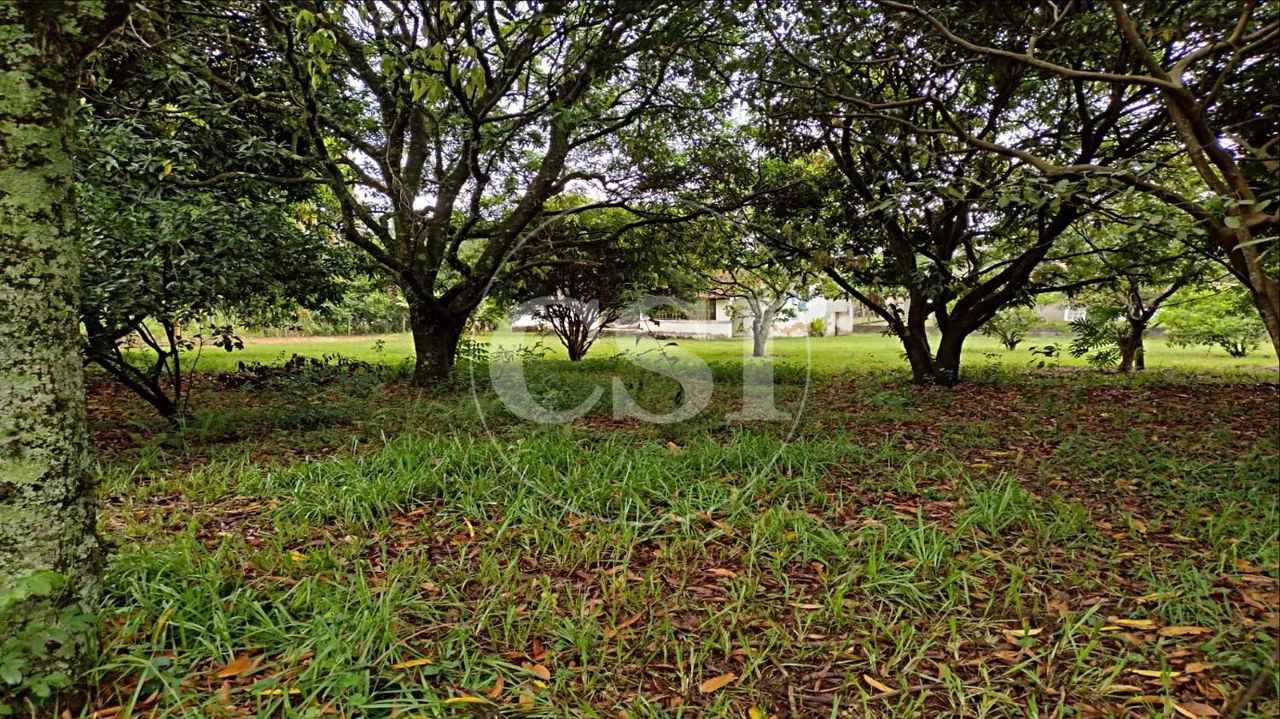 Chácara no Vale das Garças com pomar e vista para a Praça Ray Charles. - Foto 4