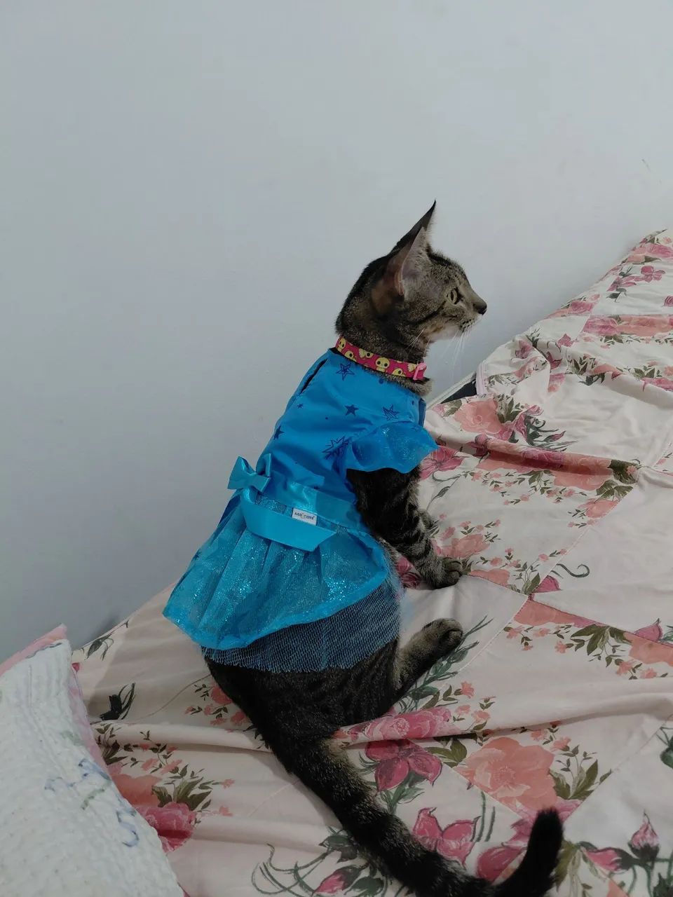 Vestido para gato ou cachorro  - Foto 3