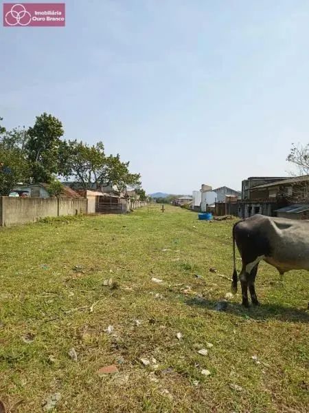 Terreno - Florianópolis SC - Foto 2