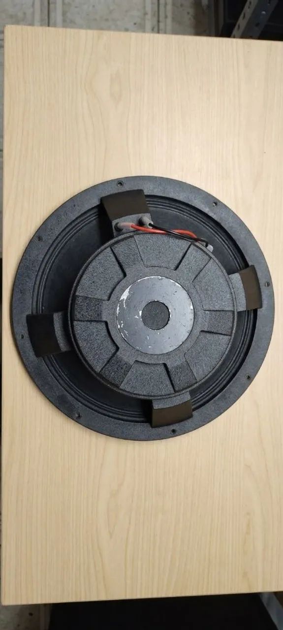 Alto-falante SNAKE 15 Polegadas 600 Watts 8 Ohms 