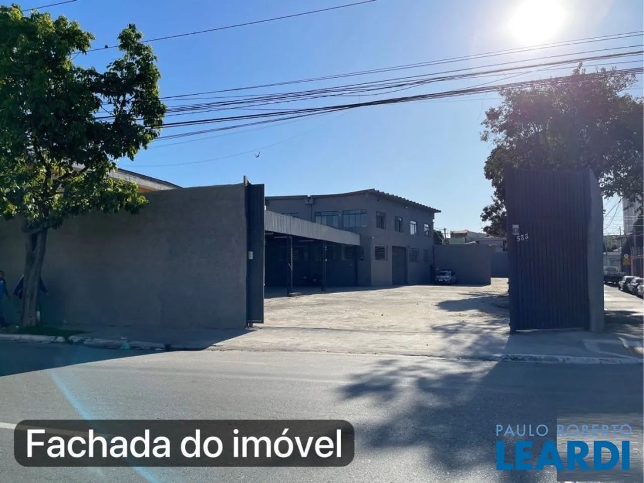 GALPÃO - LIMÃO - SP - Foto 3