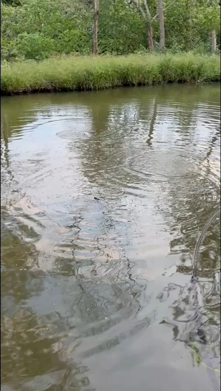Terreno excelente para chácara  - Foto 4