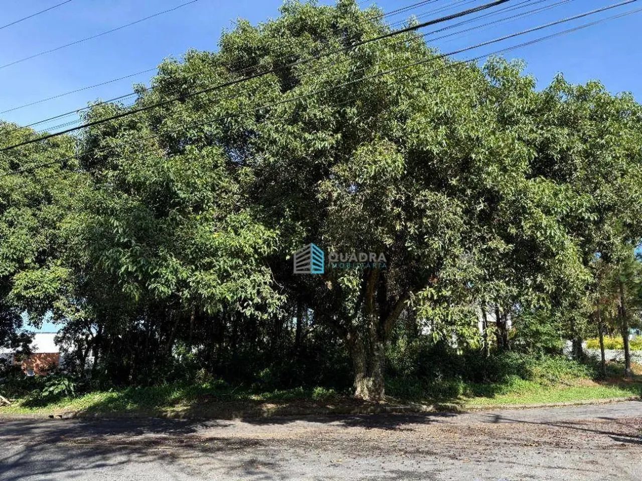 Terreno com 798m² no exclusivo Jardim Caiobig - Foto 4
