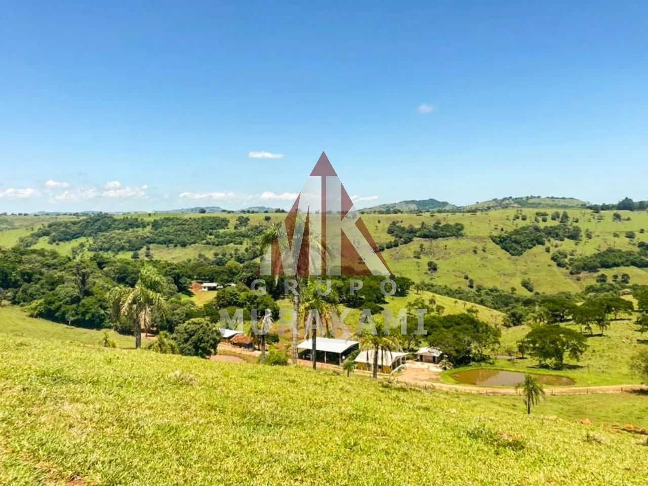 FAZENDA - PALMITAL - PARANÁ - Foto 3