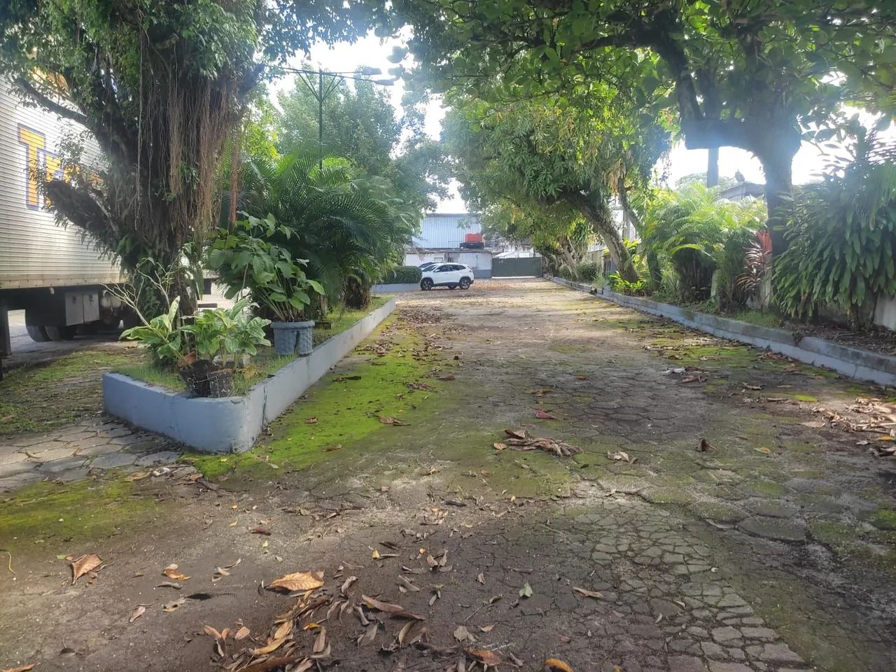 ALUGO PRÉDIO COMERCIAL PARA ACADEMIA NA BR - Foto 3