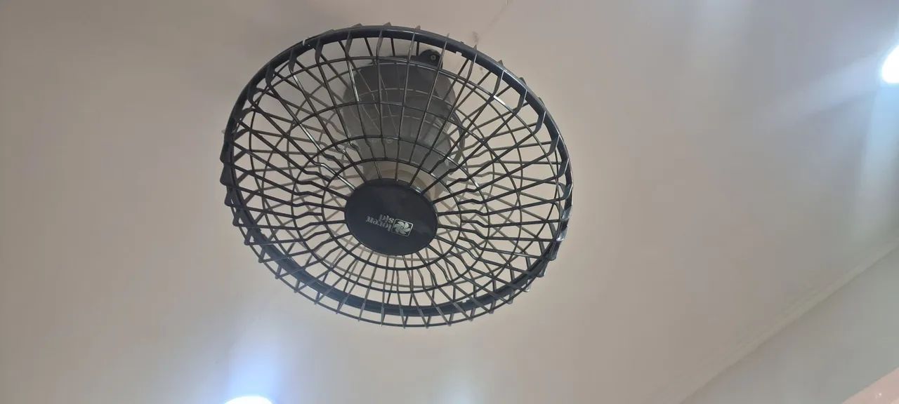 Ventilador de teto giratorio orbital