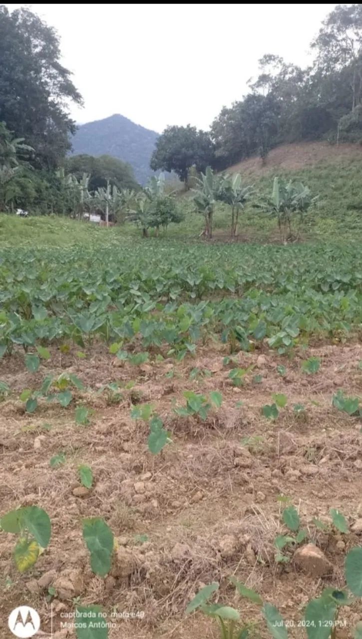 Terreno em Área Verde Cachoeiras de Macacu 