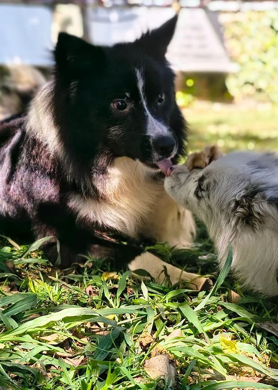 Troca  - Foto 2