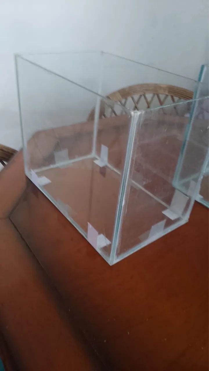 Aquário Medio