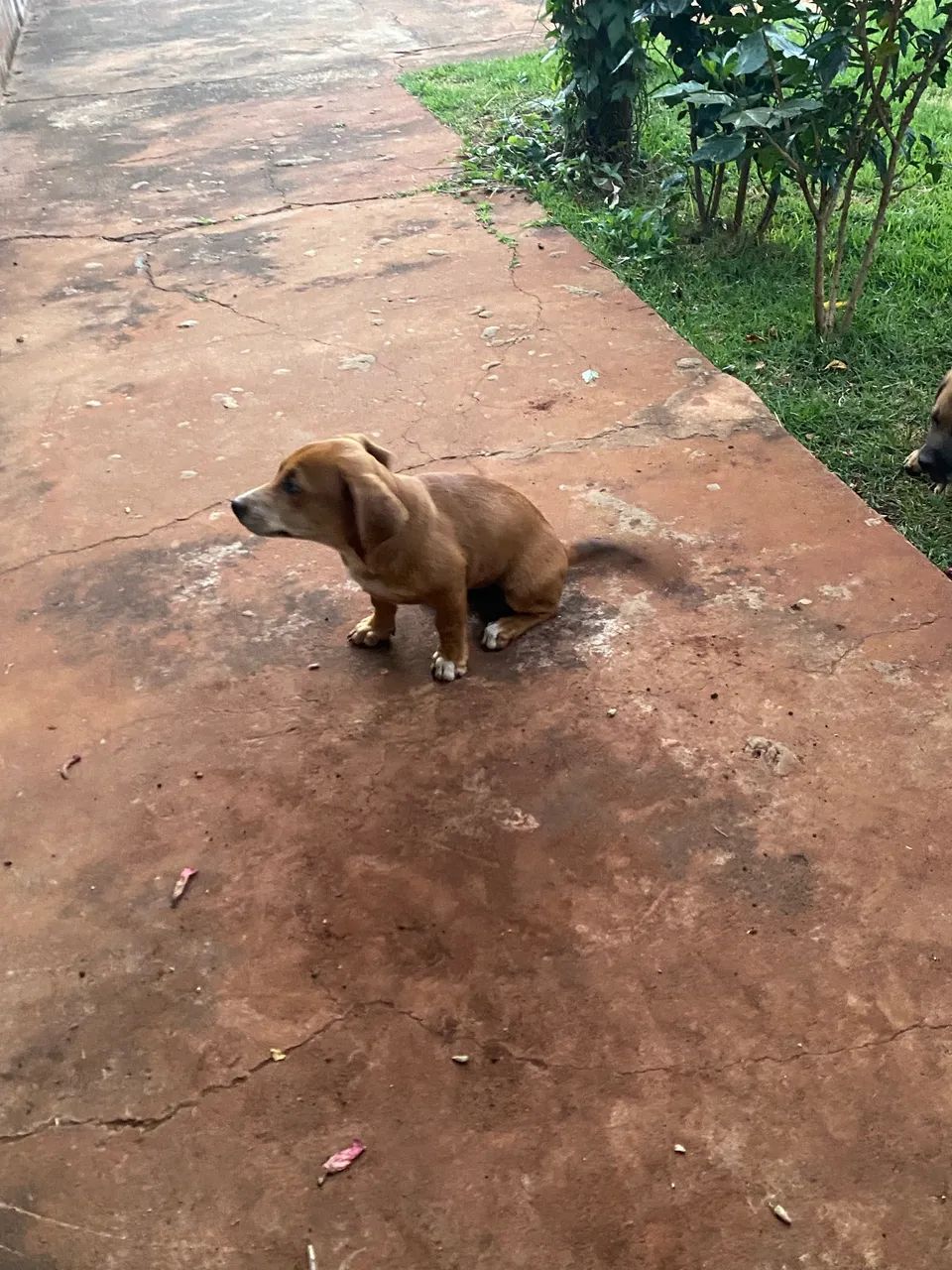 Doação  - Foto 2