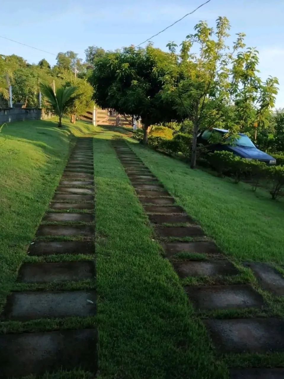 Sitio a venda  - Foto 4