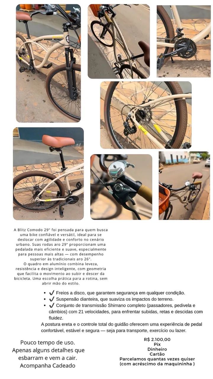 Bicicleta Blitz 29