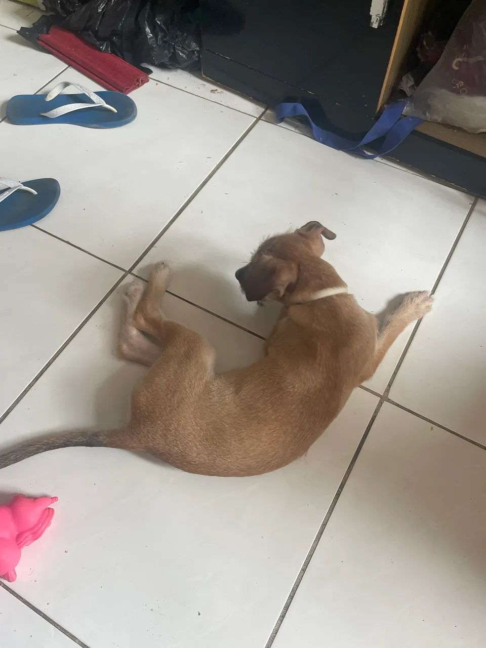 Doação 