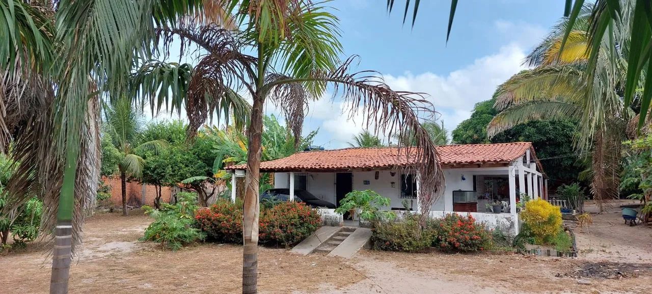 VENDE SE ESSE SÍTIO  - Foto 4