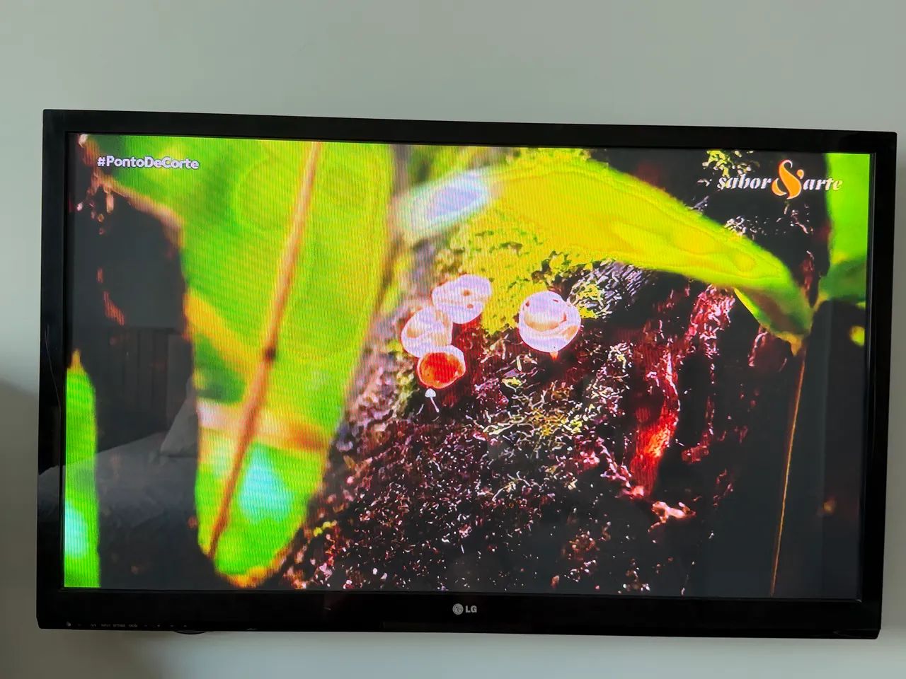 TV LG 43 - Plasma - Foto 3
