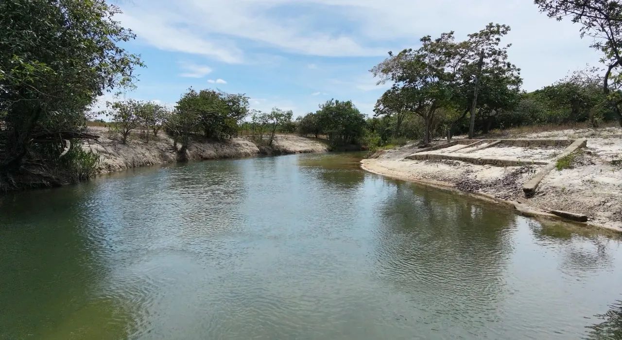 Vendo Área pra Chácara ou sítio  - Foto 3