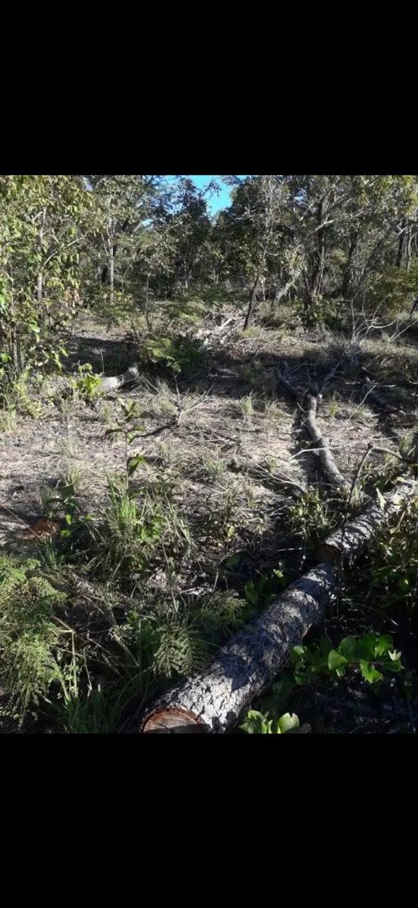 Terreno 50×100 zona rural timon - Foto 2