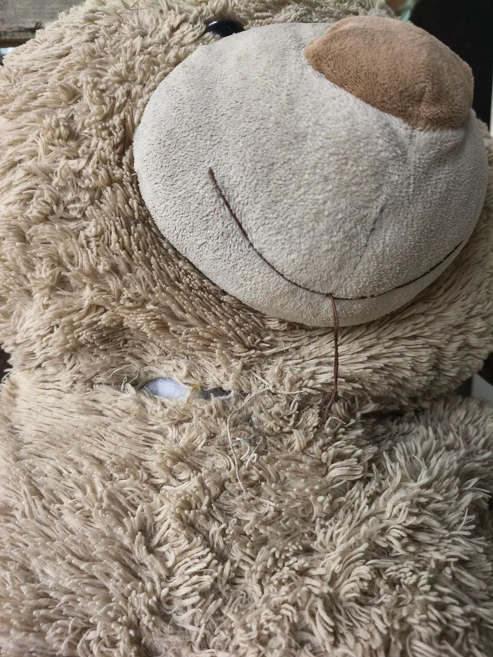 Urso de Pelúcia Grande - Foto 4