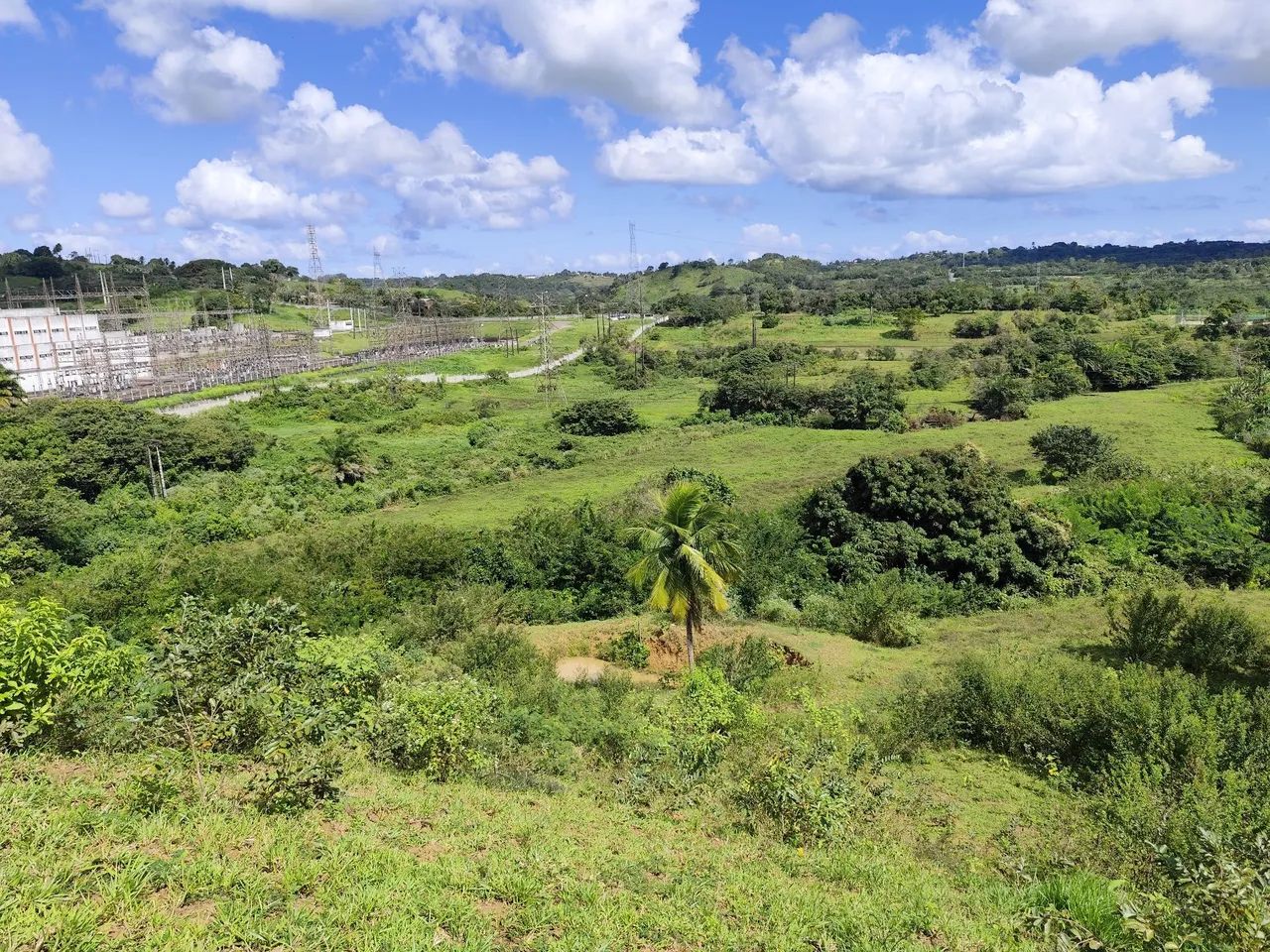 7 tarefas de terra em Cotegipe  - Foto 4