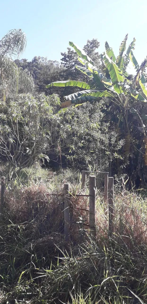 Vendo sítio abundante em água  - Foto 3