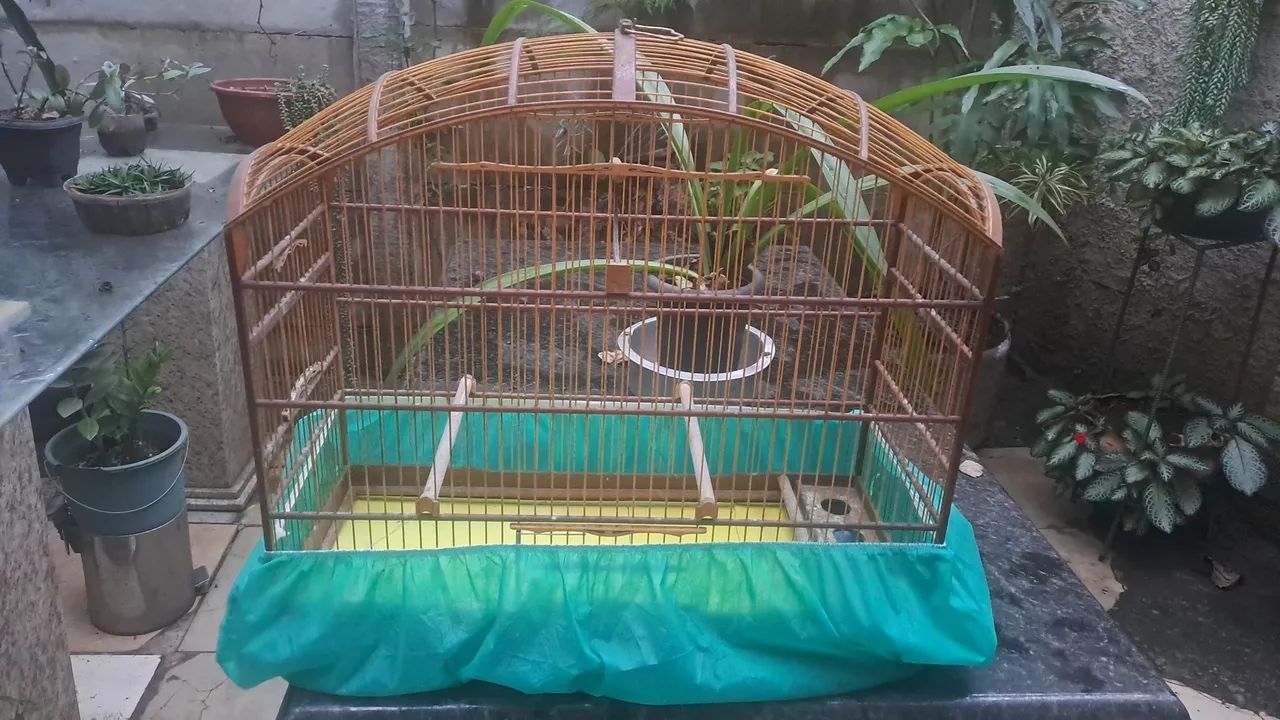Gaiola Abaulada  - Foto 5