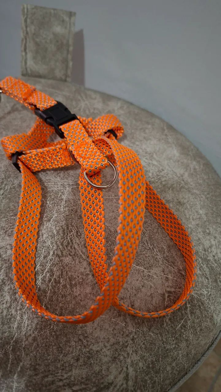 Kit Pelúcia Pet e mini coleira  - Foto 4