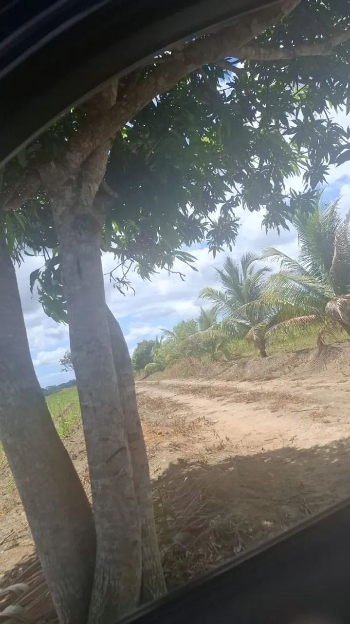 Vendo ou troco casa e chácara próximas a Maceió. - Foto 4