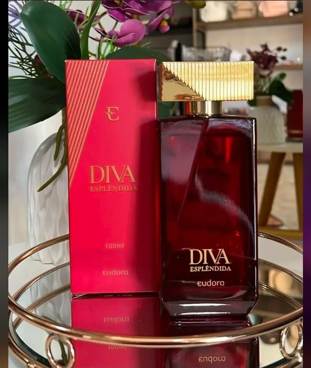 Diva eudora  - Foto 3