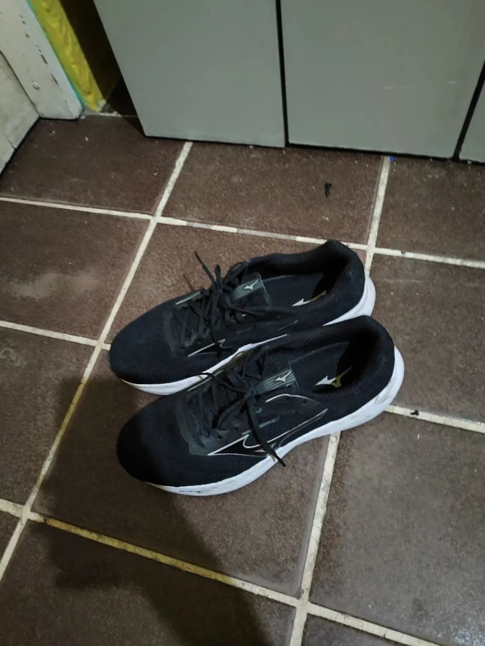 Mizuno