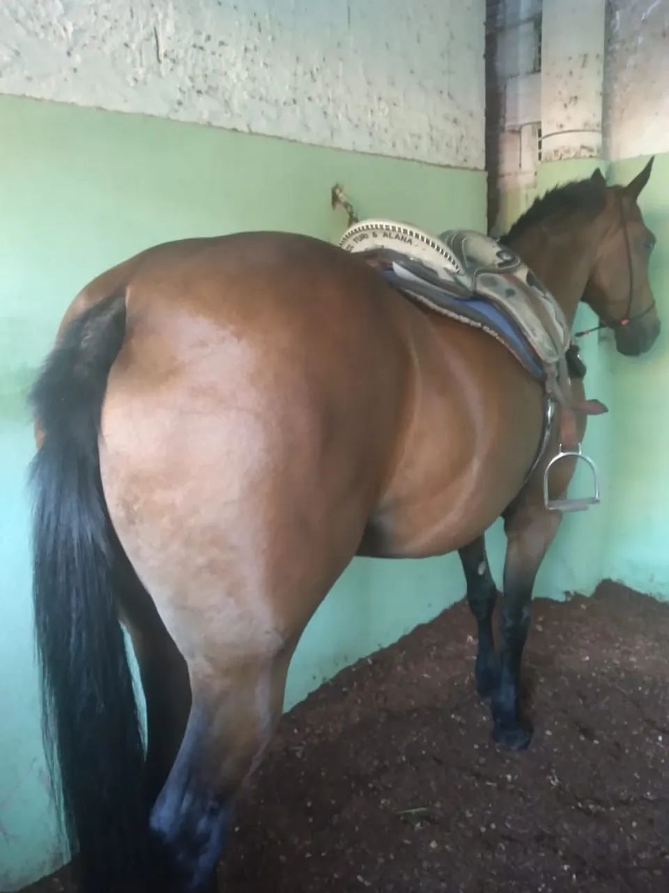 Vende se egua 